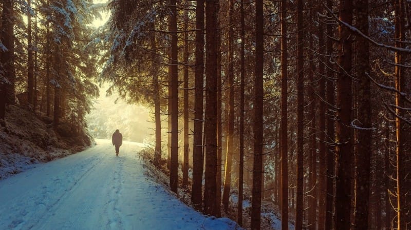 Escursione sulla neve con pranzo al Rifugio Bar Alpino – Altopiano dei Sette Comuni