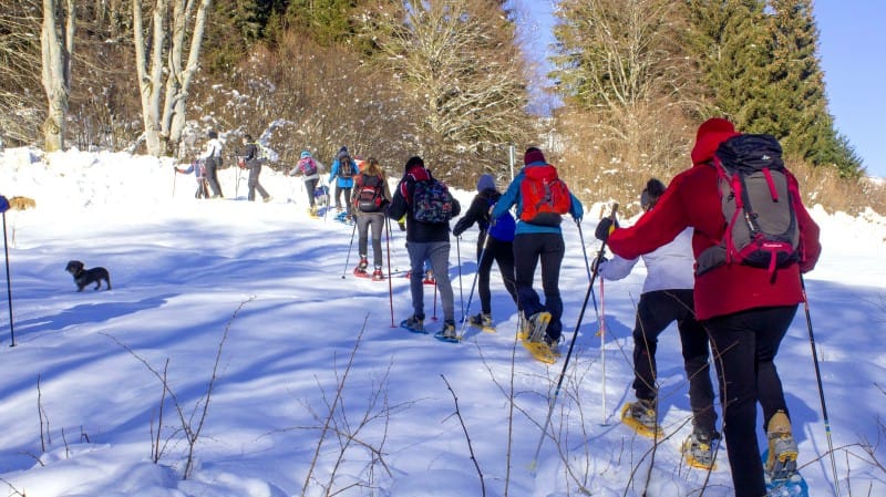 Snow family escursione sulla neve sul Monte Zovetto – Altopiano dei Sette Comuni