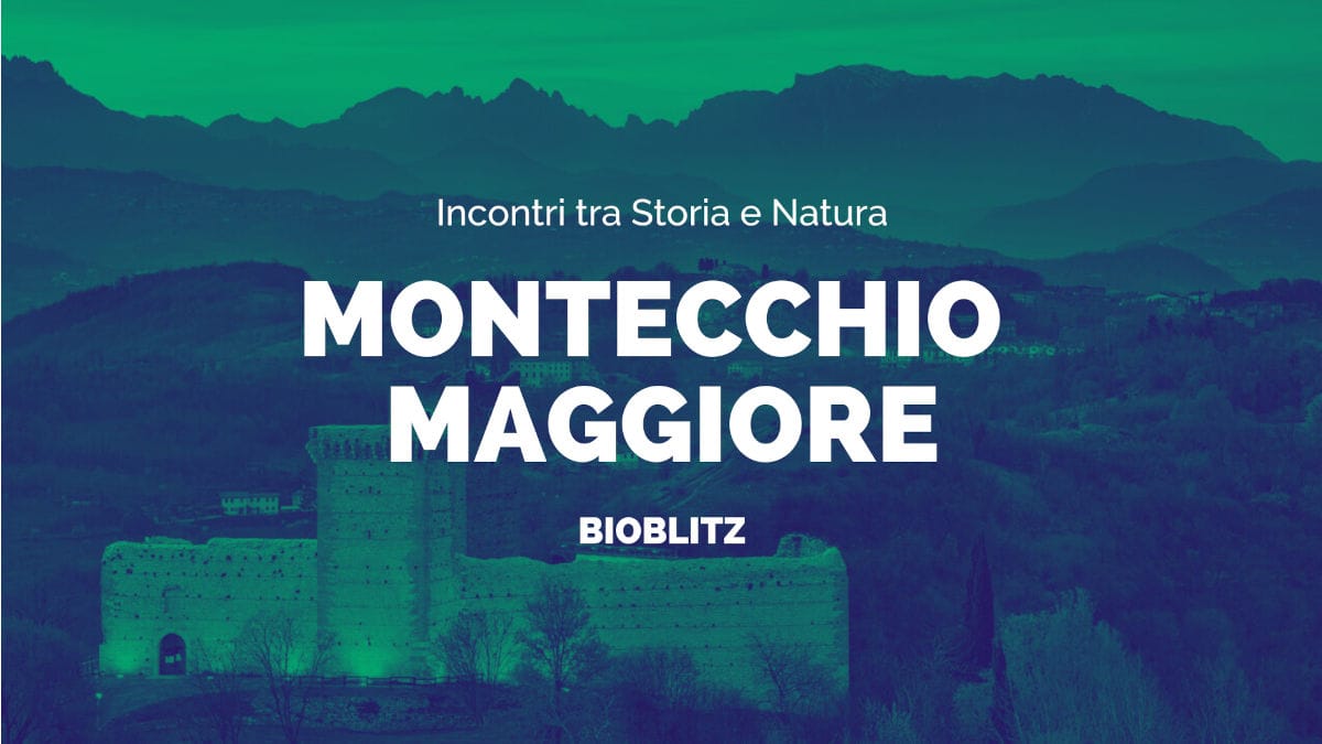Incontri tra Storia e Natura – EuroBioblitz