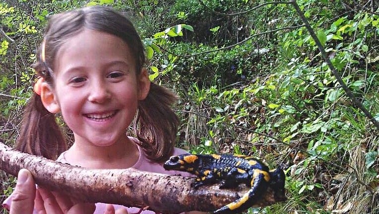 Tesori del Veneto – Escursione guidata alla ricerca della Salamandra Pezzata