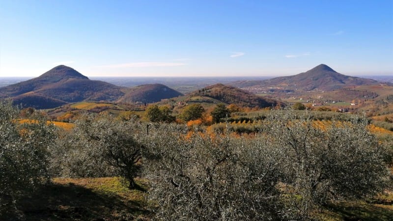 A caccia di panorami sui Colli Euganei