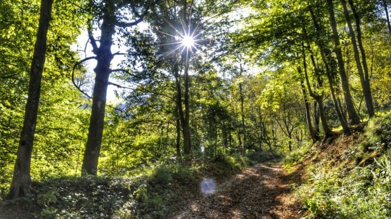 Escursione ai Piani di Cavallaro sul Monte Majo – Laghi Posina