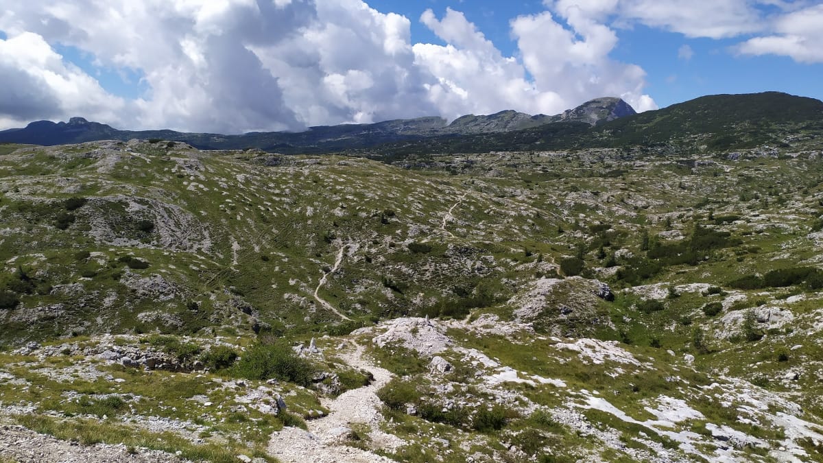 Ortigara e Caldiera: escursione sul campo di battaglia