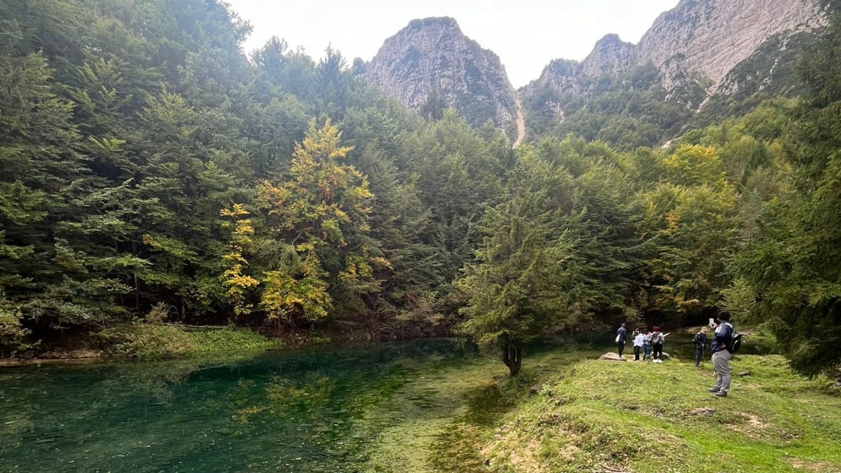 Foliage al tramonto lungo il Sentiero dei Grandi Alberi