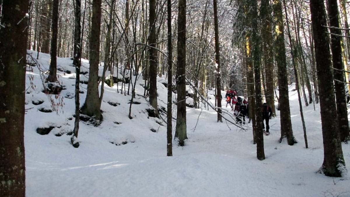 Ciaspole in trincea a Cesuna
