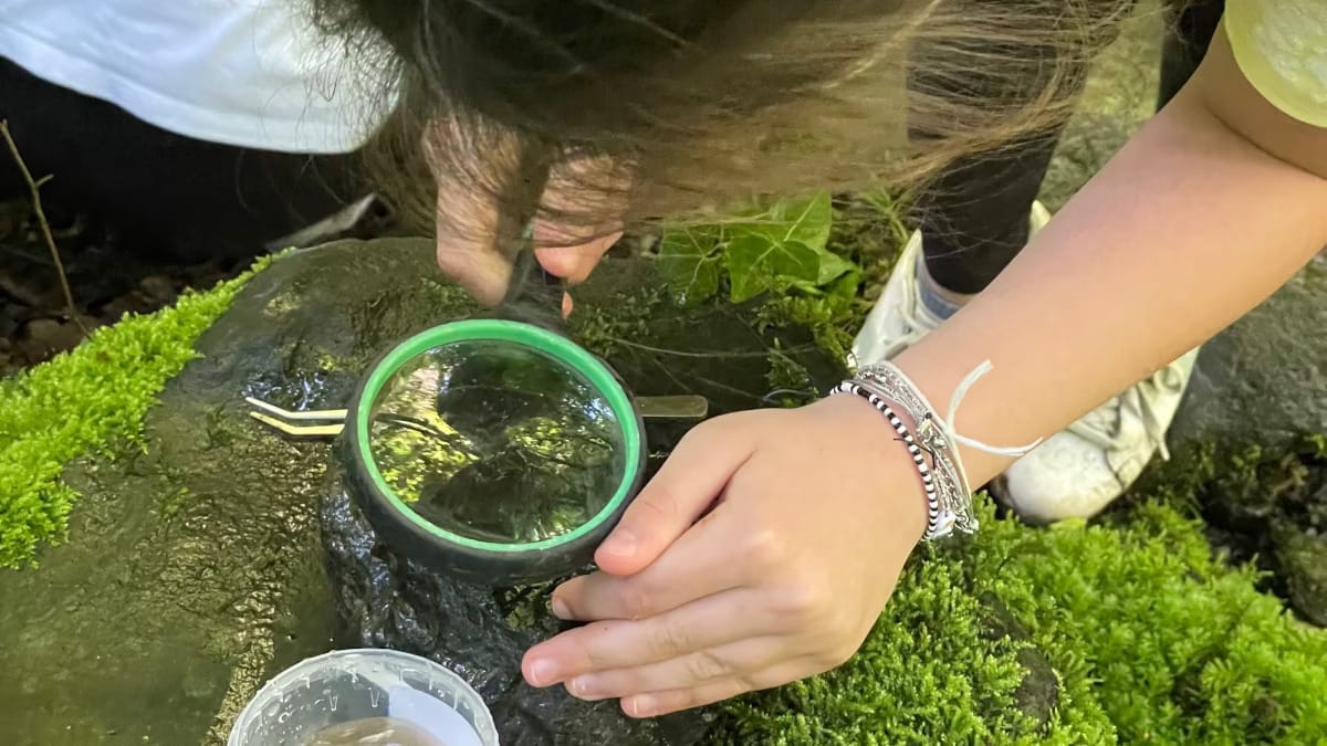 Il Piccolo Popolo dell’Acqua