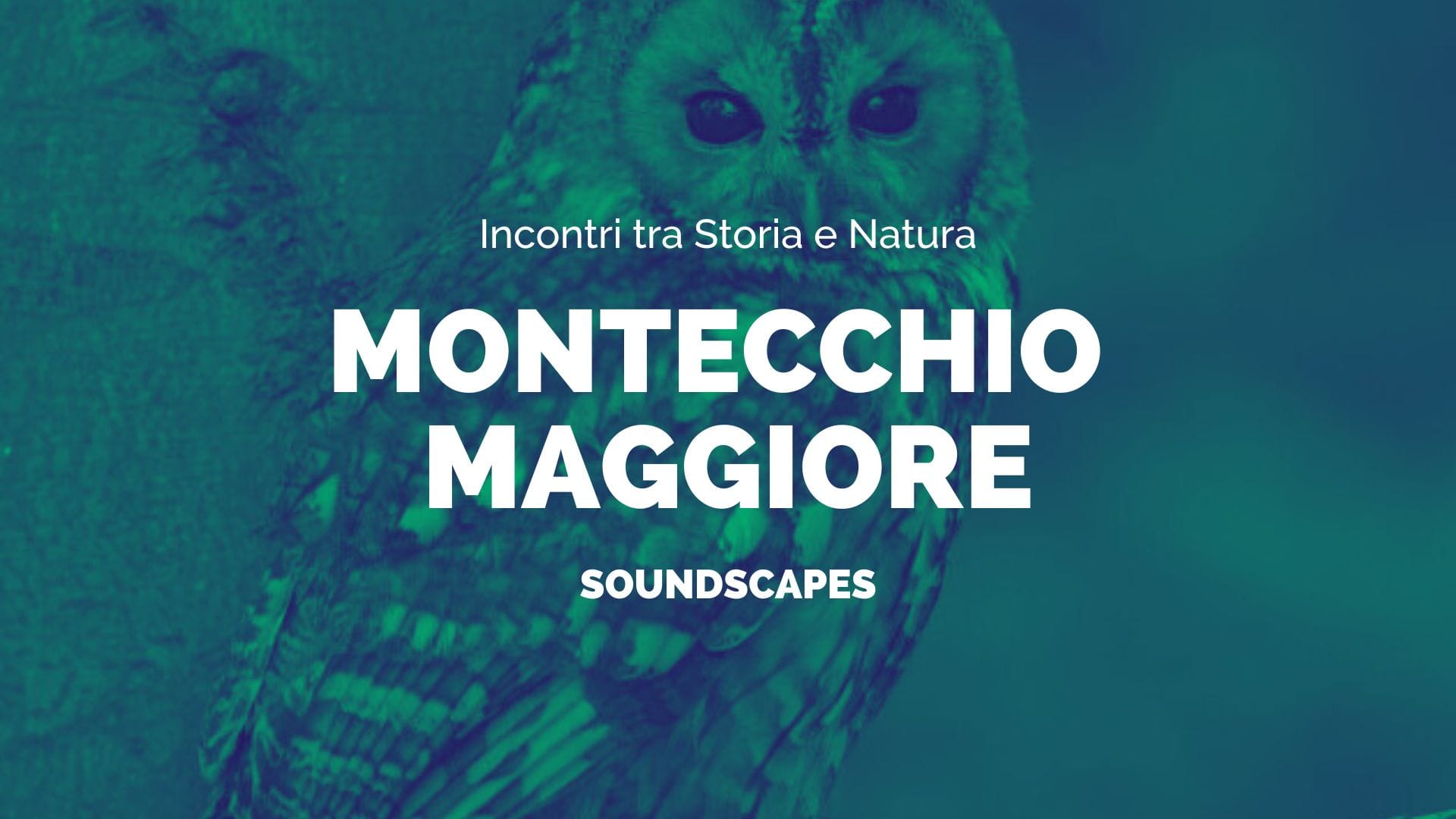 Soundscapes – Rumori e suoni del Bosco – Incontri tra Natura e Storia