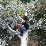 Centro estivo bambino sull'albero